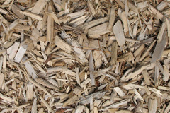biomass boilers Essendine